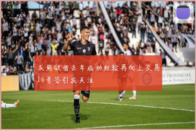 灰熊欲借去年成功经验再向上交易16号签引发关注