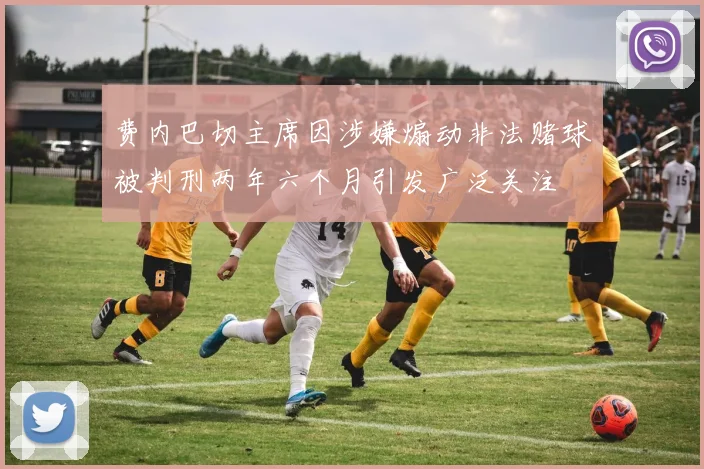 费内巴切主席因涉嫌煽动非法赌球被判刑两年六个月引发广泛关注