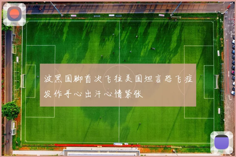 波黑国脚首次飞往美国坦言恐飞症发作手心出汗心情紧张